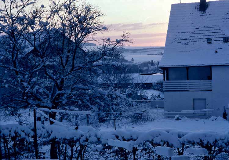 winter scene